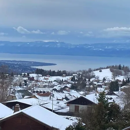Duplex En Station Vue Sur Leman