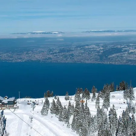 Διαμέρισμα Duplex En Station Vue Sur Leman