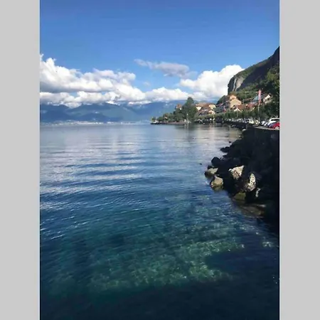 Διαμέρισμα Duplex En Station Vue Sur Leman Thollon-les-Memises