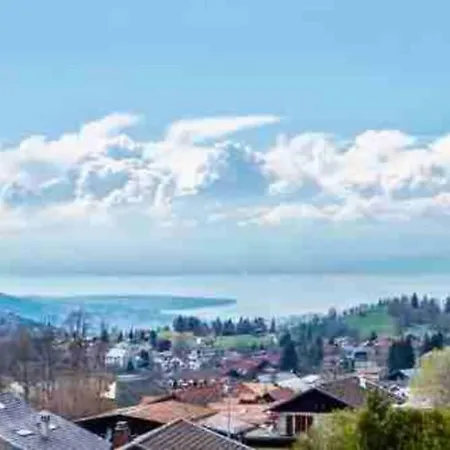 Duplex En Station Vue Sur Leman * Thollon-les-Memises