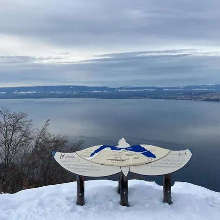 Appartement Duplex En Station Vue Sur Leman Thollon-les-Mémises