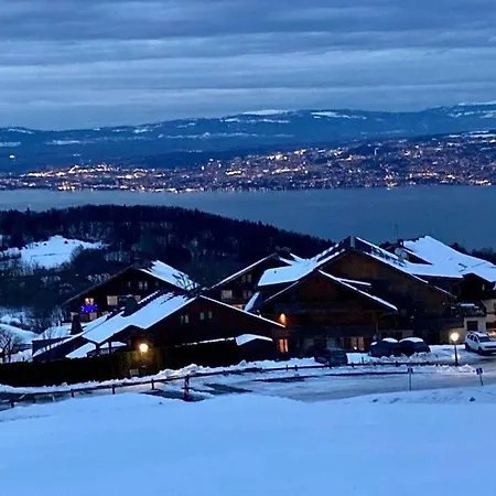 Διαμέρισμα Duplex En Station Vue Sur Leman *
