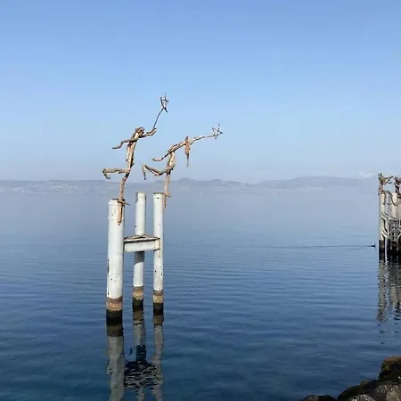 Duplex En Station Vue Sur Leman Διαμέρισμα