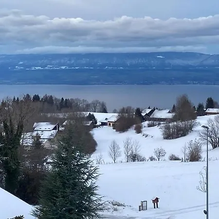 Duplex En Station Vue Sur Leman